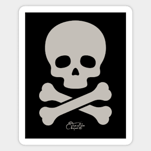 Skull and Cross Bones Magnet